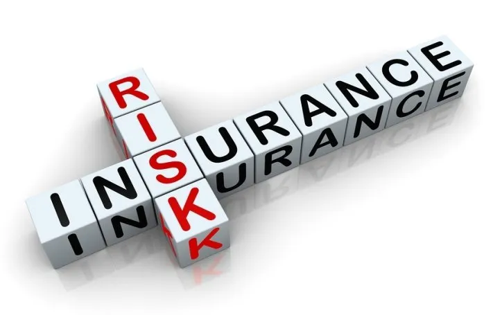 What is Insurance Risk? Let's Read the Explanation!
